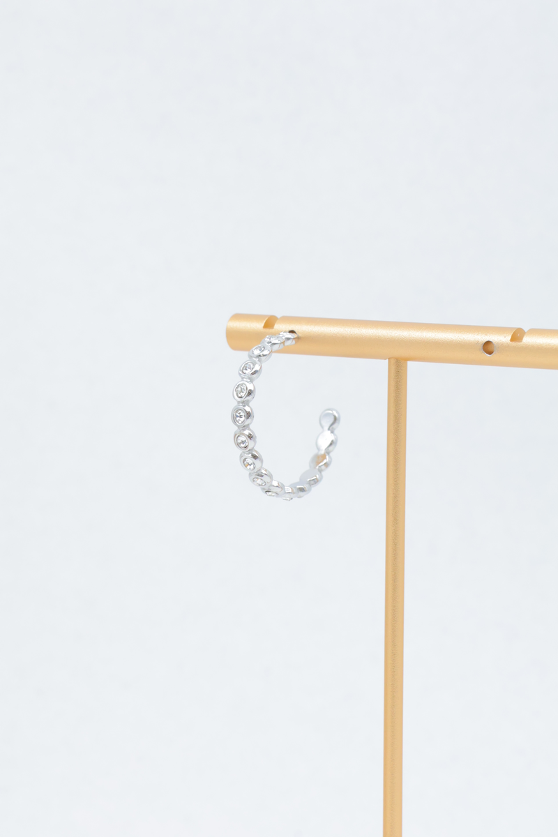 Stainless steel earrings