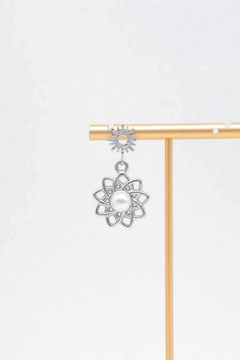 Stainless steel earrings