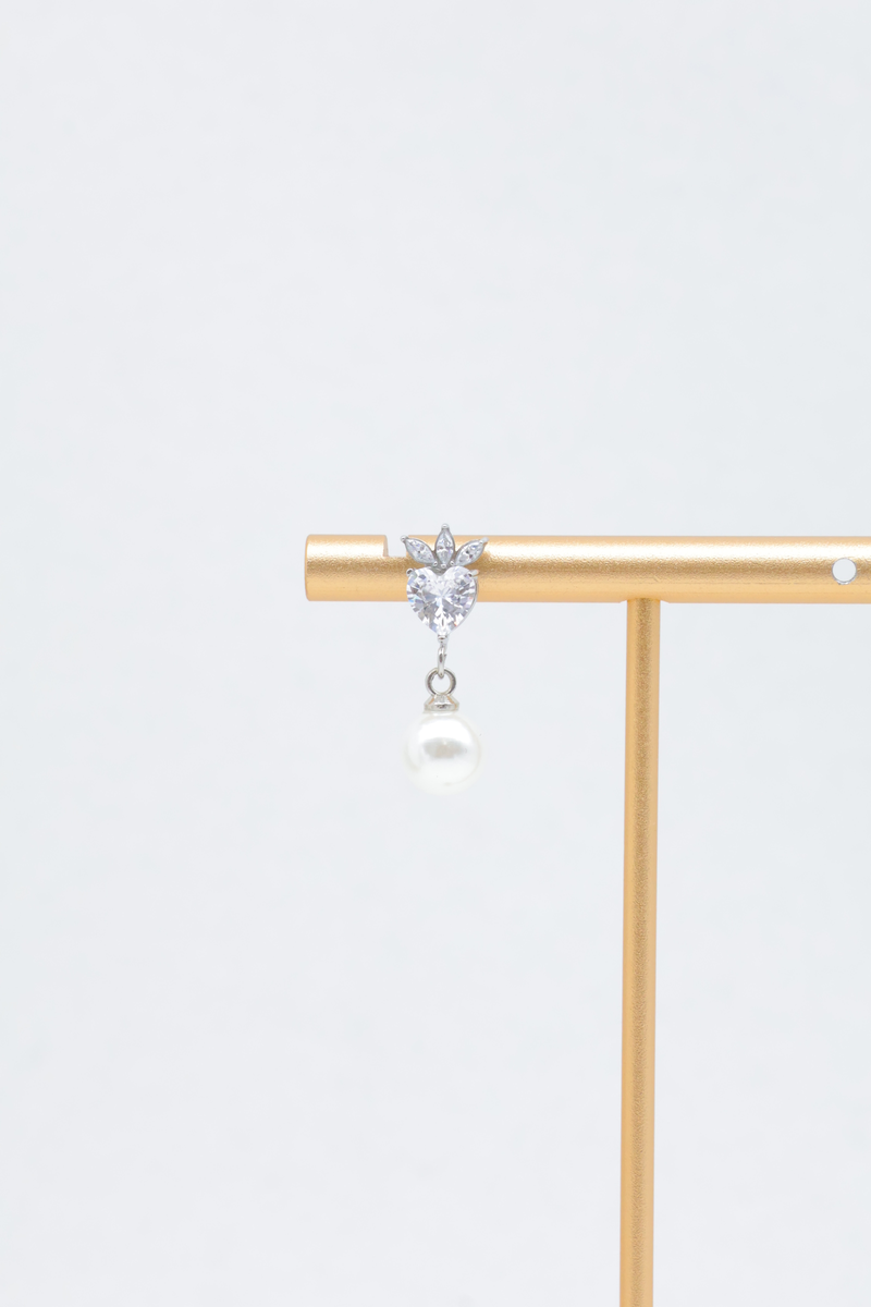 Stainless steel earrings