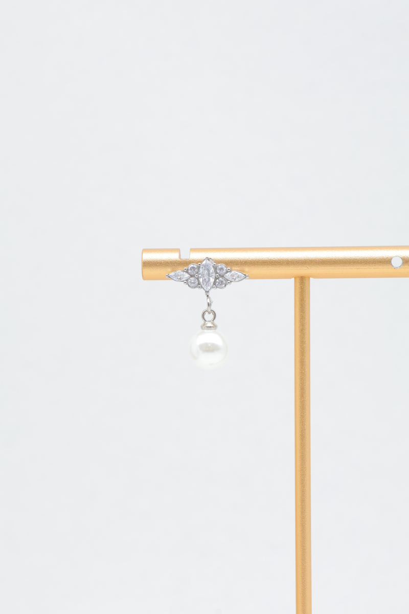 Stainless steel earrings