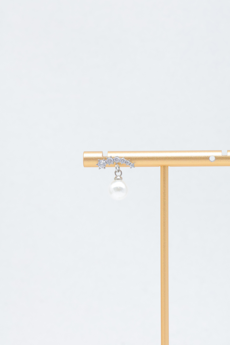 Stainless steel earrings