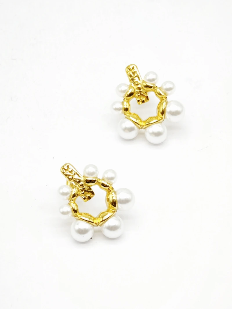 Stainless steel earrings 2