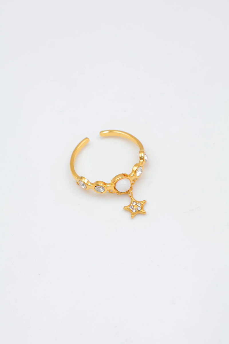 Bague en acier inoxydable ajustable 6