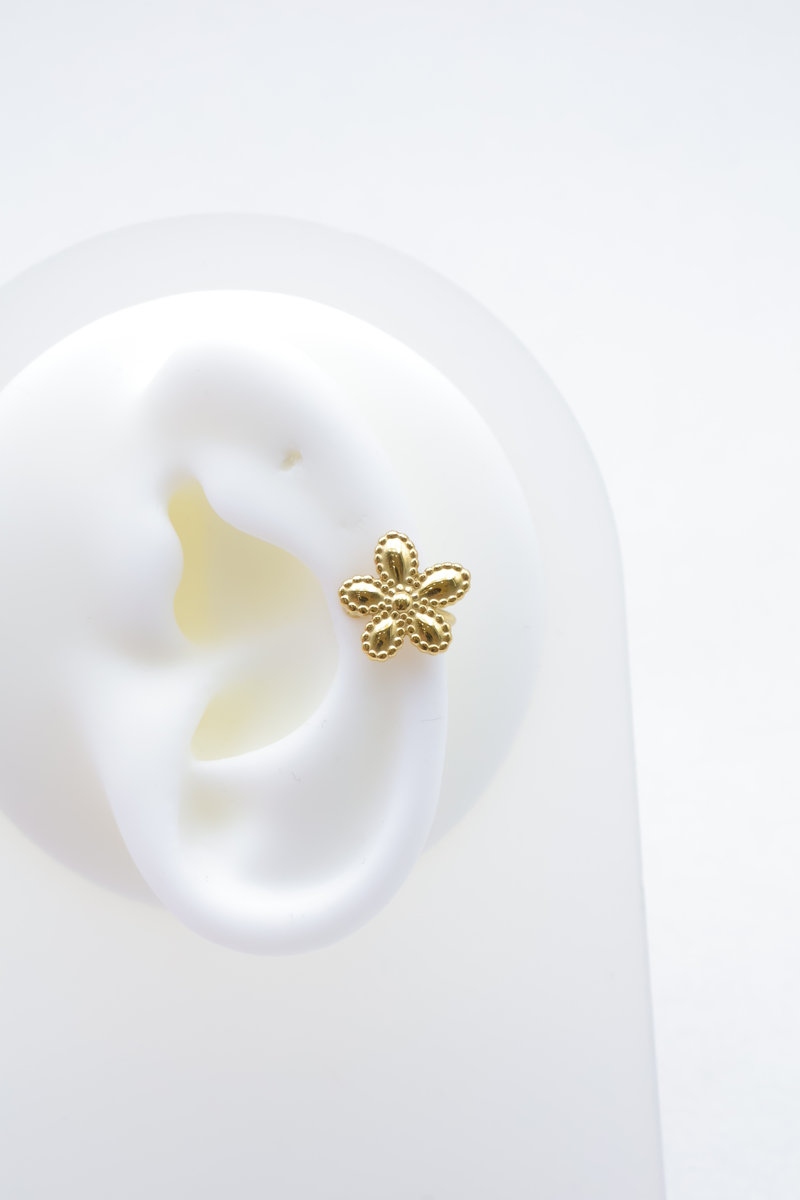 Stainless steel earrings 2
