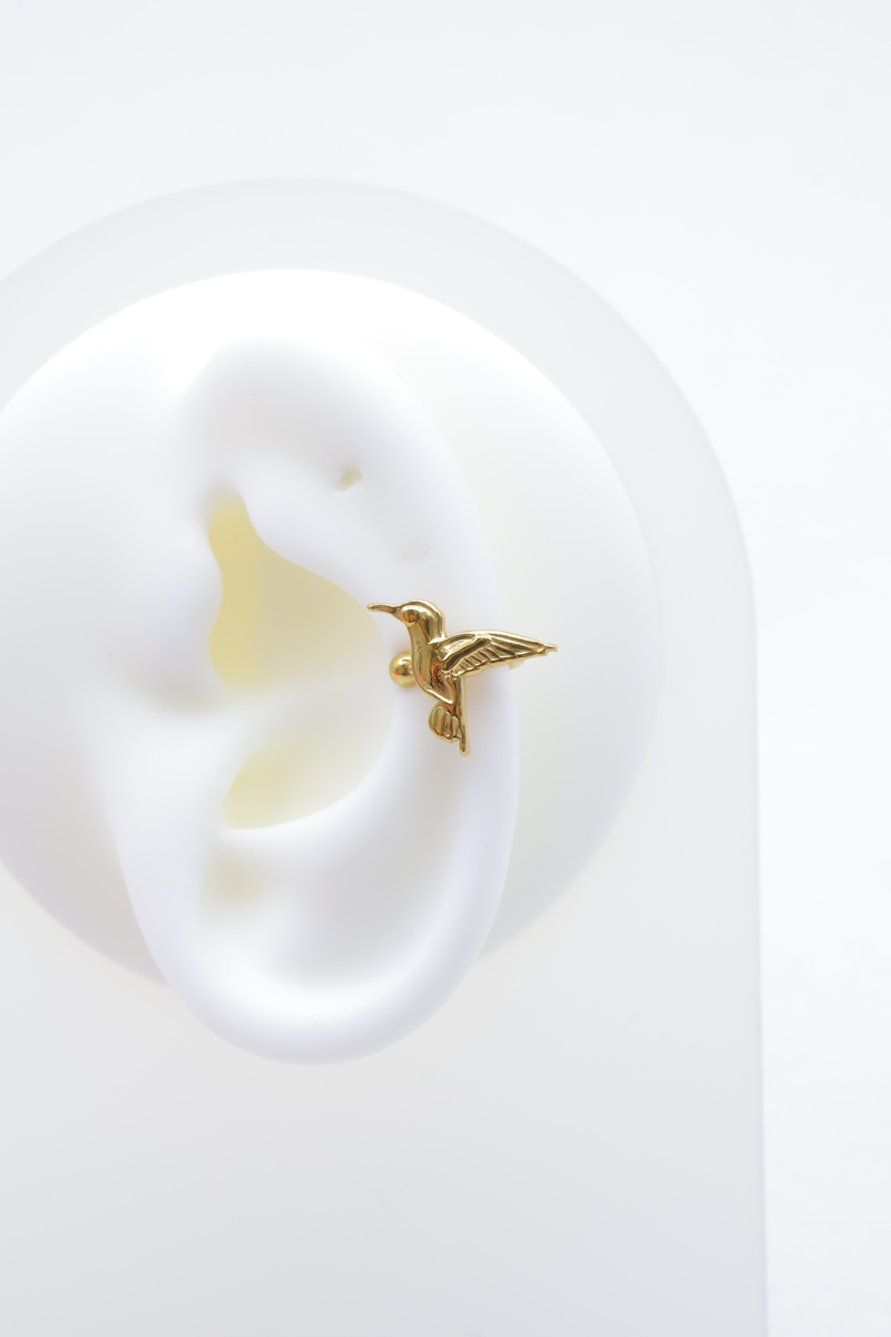 Stainless steel earrings 2