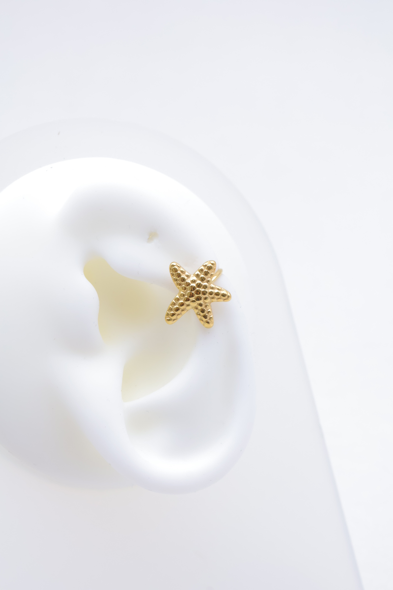 Stainless steel earrings 2
