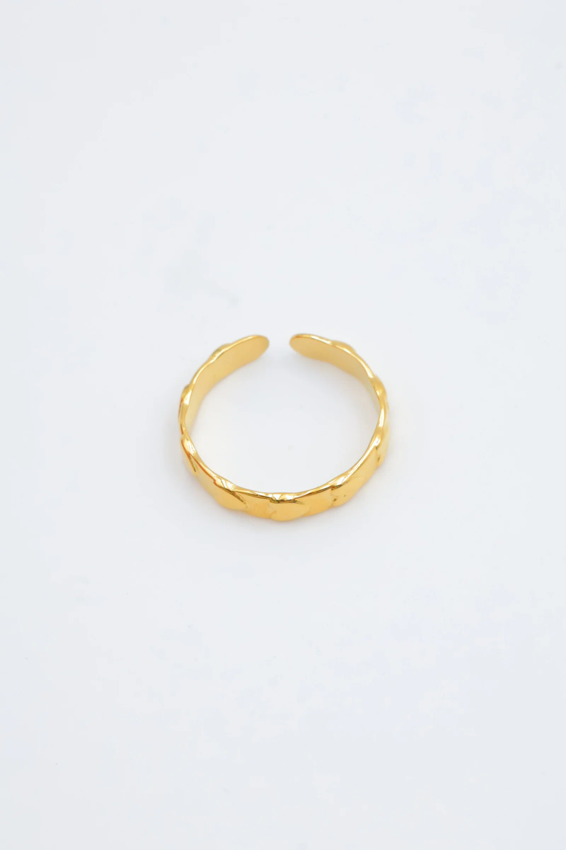 Adjustable stainless steel ring 2