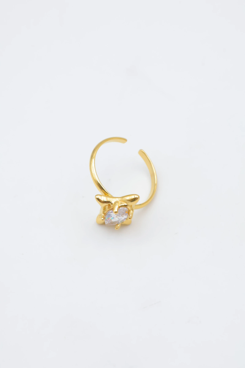 Bague en acier inoxydable ajustable 2