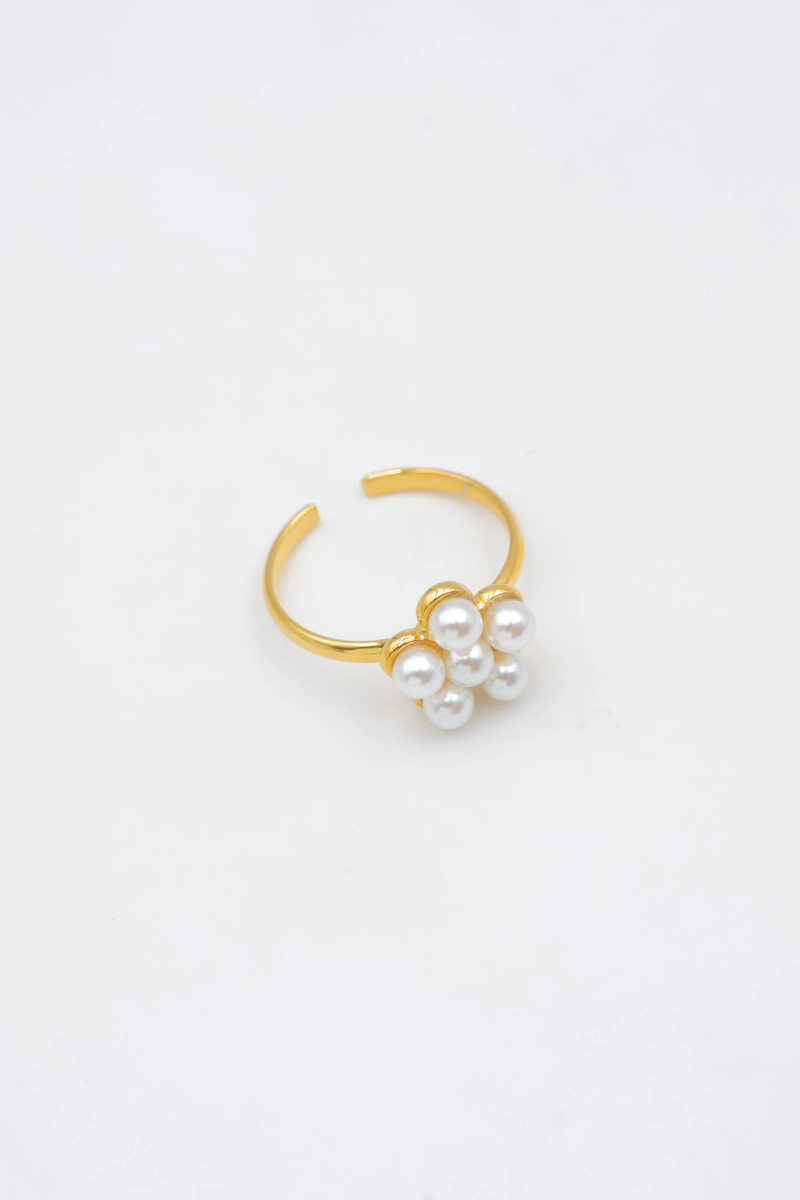 Bague en acier inoxydable ajustable 2