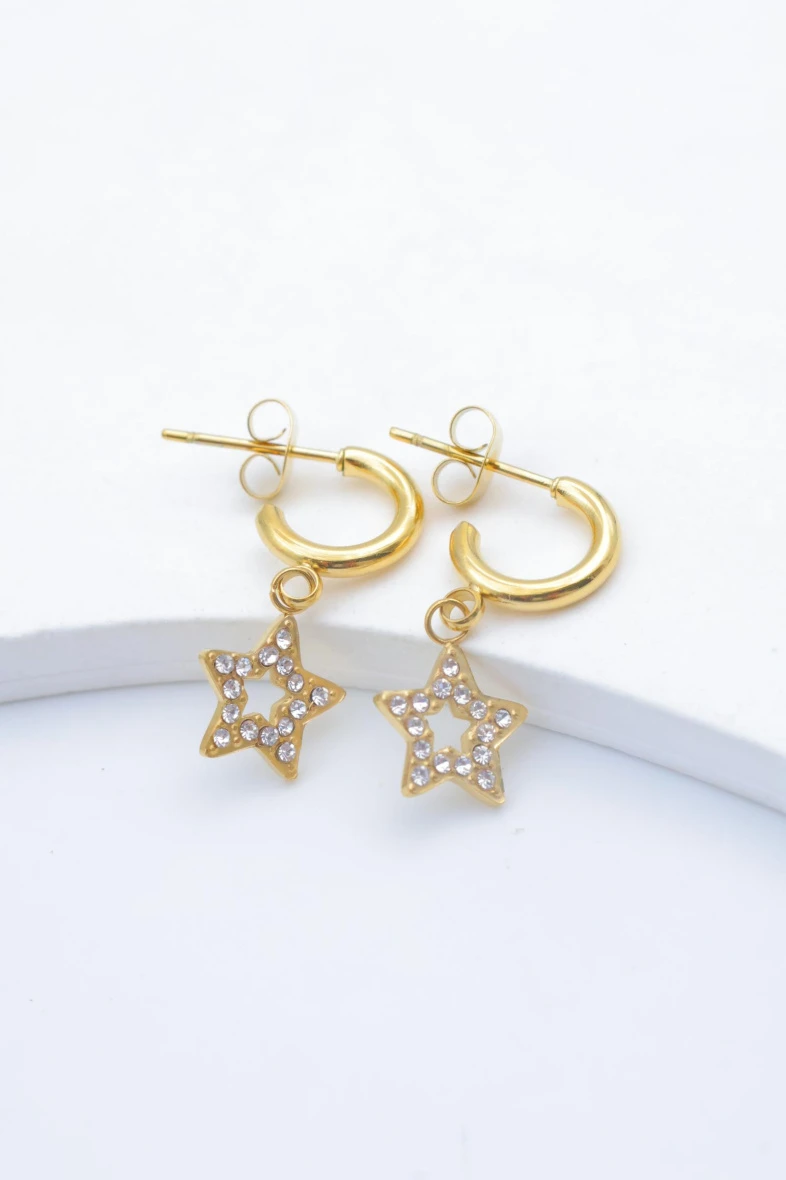 Earrings 2