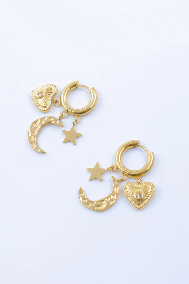 Stainless steel earrings 2