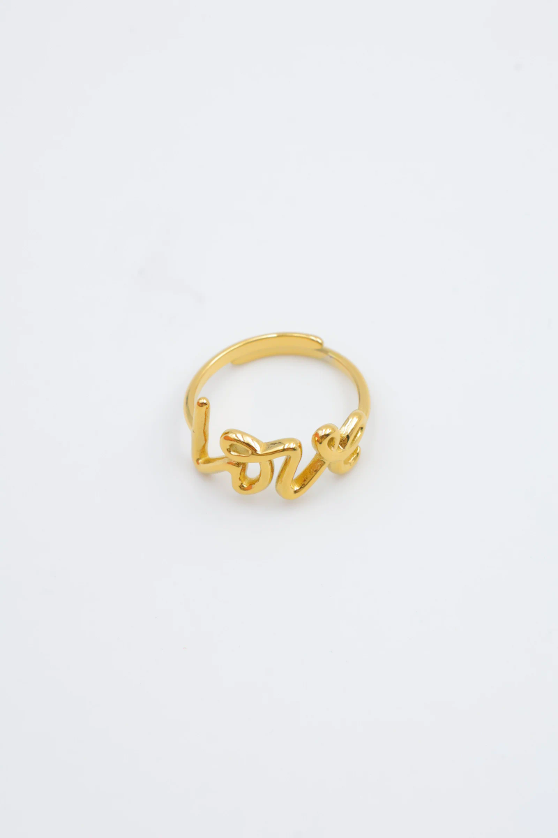 Bague en acier inoxydable ajustable 4
