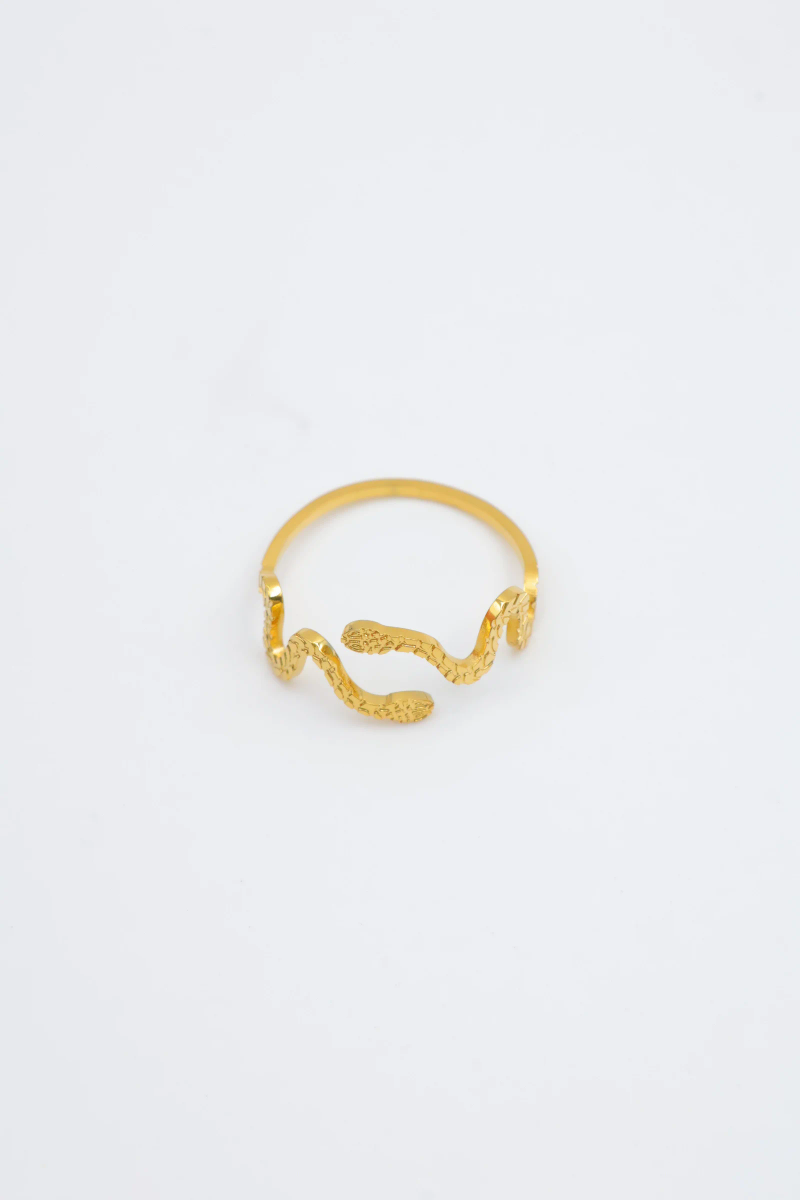 Bague en acier inoxydable ajustable 2