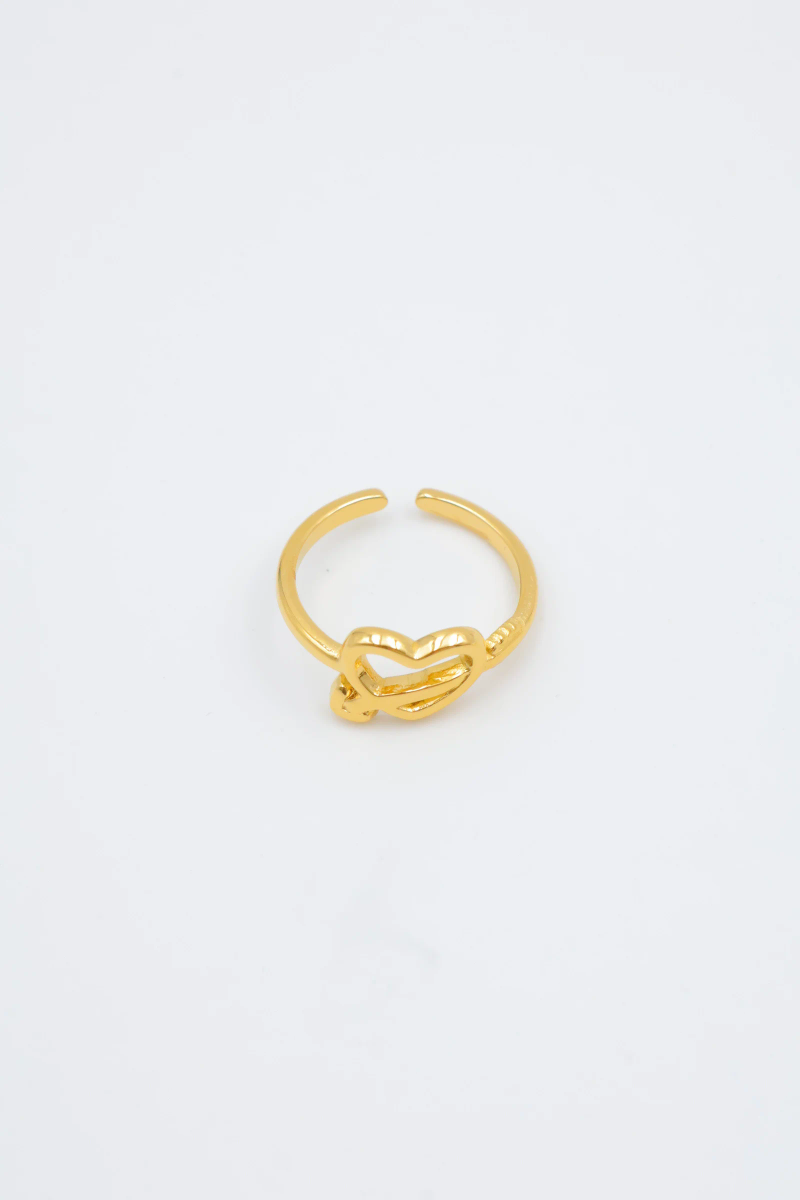 Bague en acier inoxydable ajustable 2