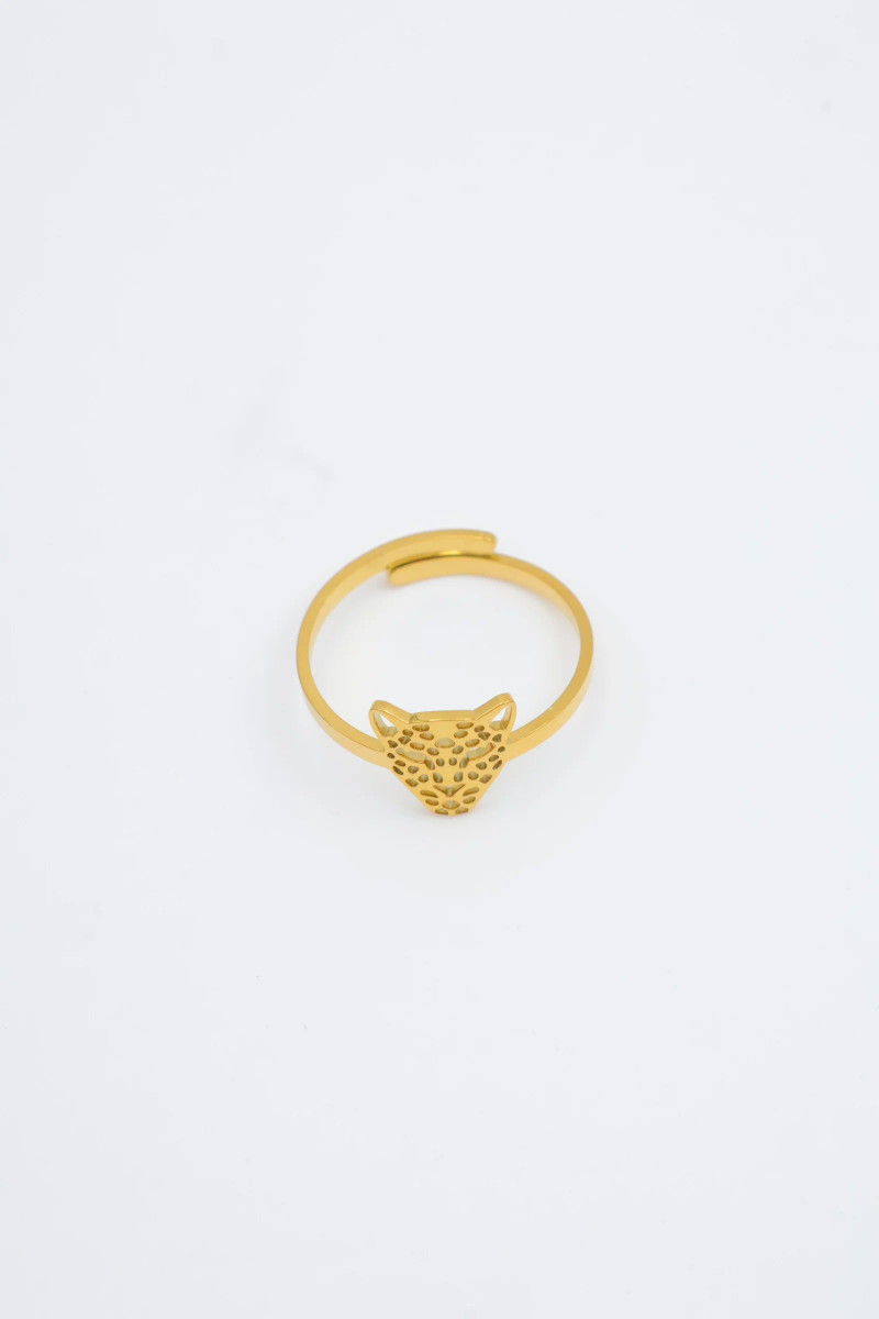 Bague en acier inoxydable ajustable 4