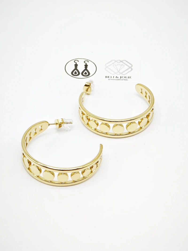Stainless steel earrings 2