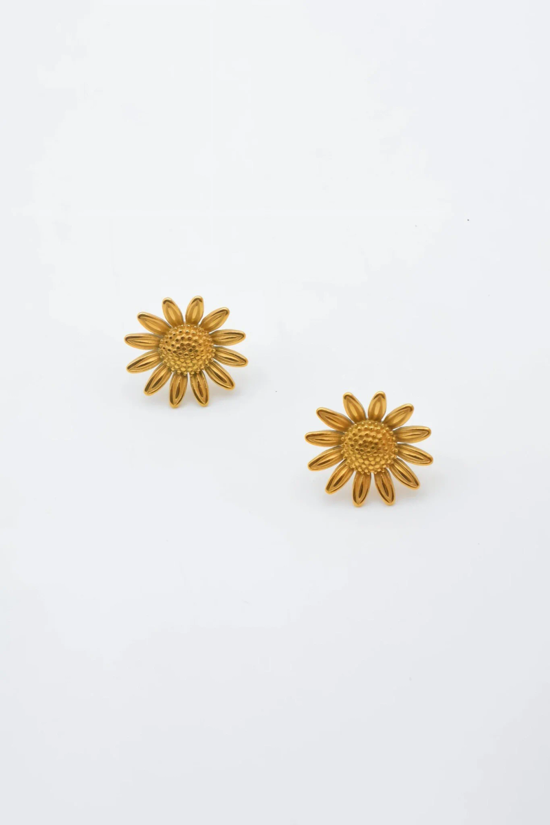 Boucles d'oreilles 2
