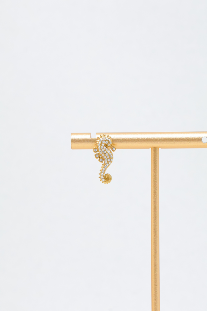 Stainless steel earrings