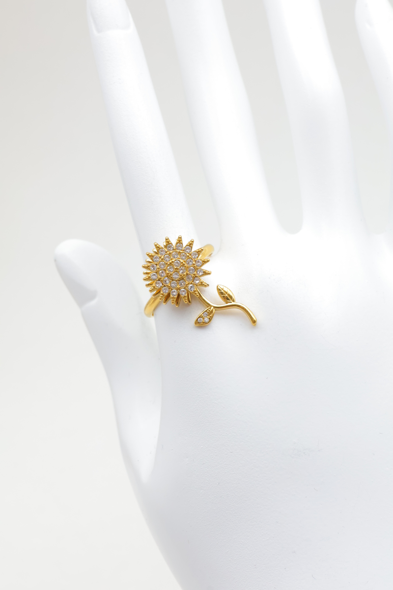 Stainless steel ring