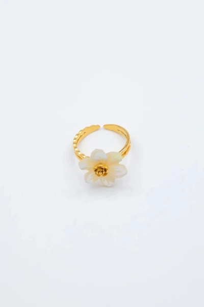 Adjustable stainless steel ring 2