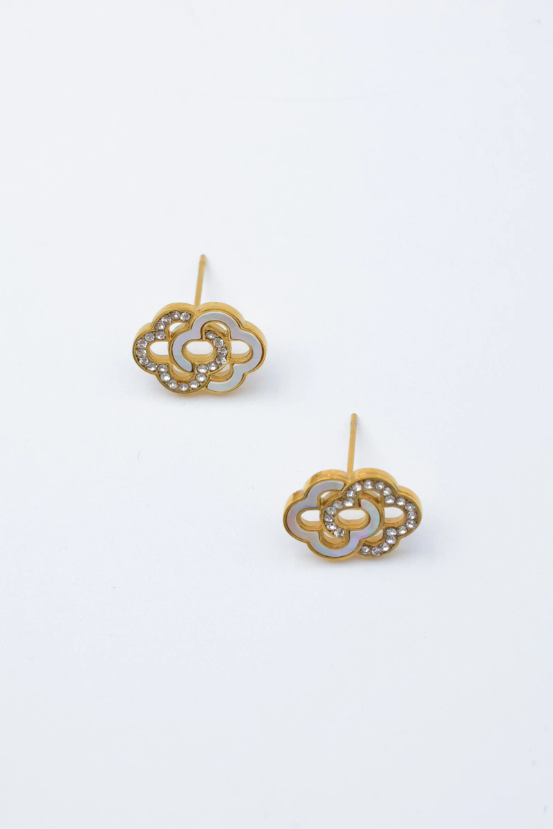 Boucles d'oreilles en acier inoxydable 2