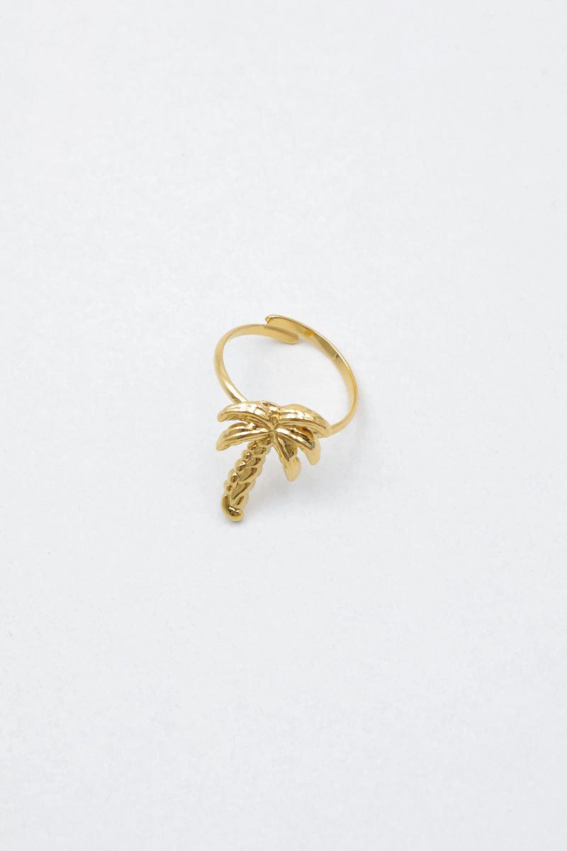 Adjustable stainless steel ring 2