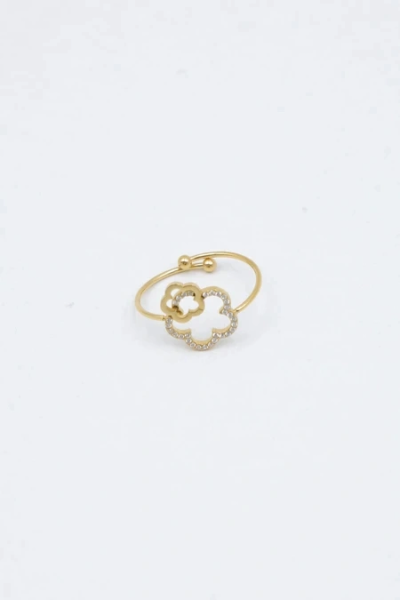 Adjustable stainless steel ring 2