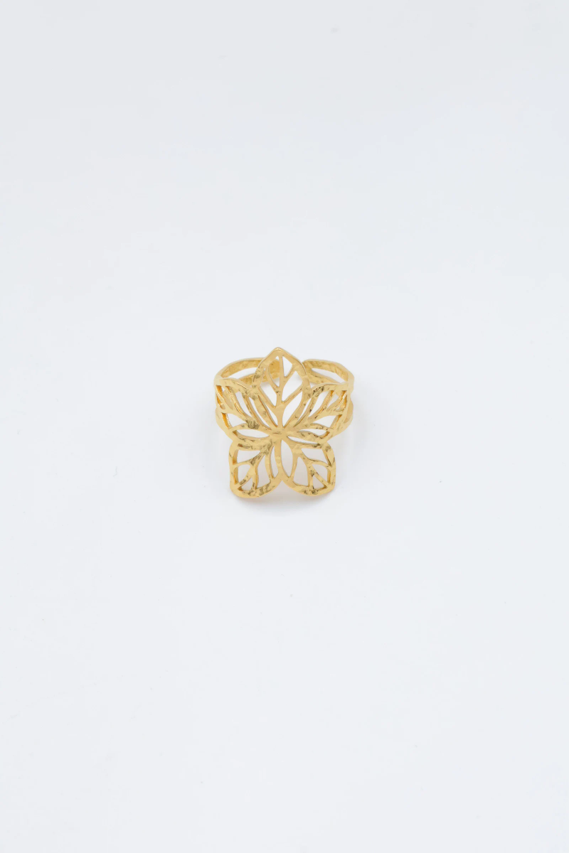 Adjustable stainless steel ring 2