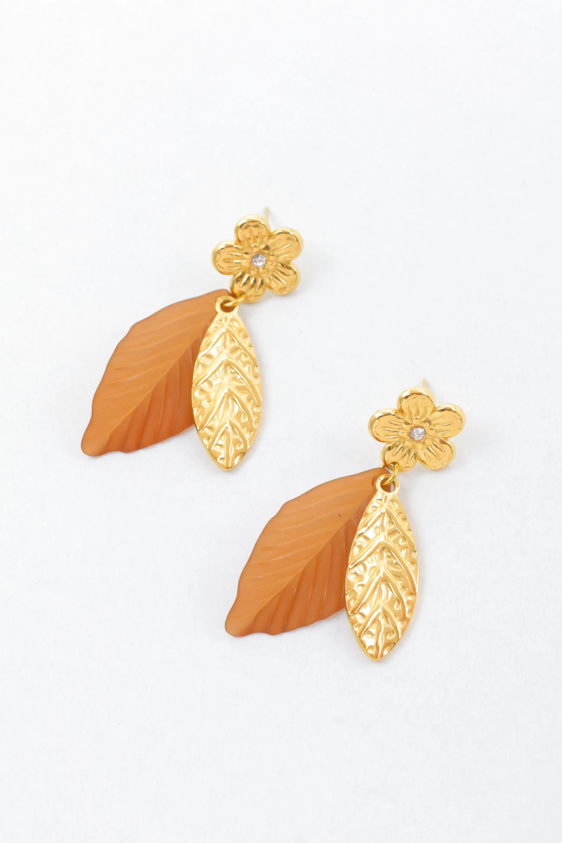 Stainless steel earrings 2