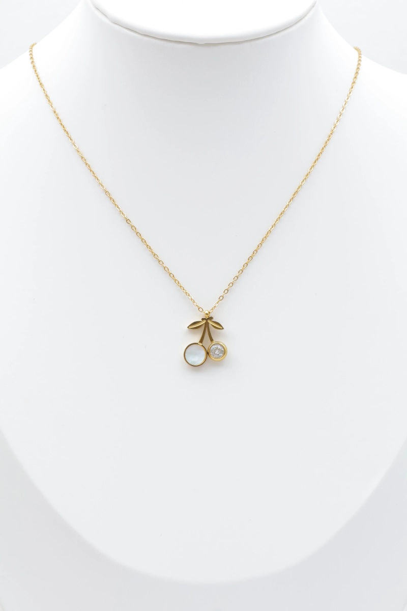 Collier en acier inoxydable 2