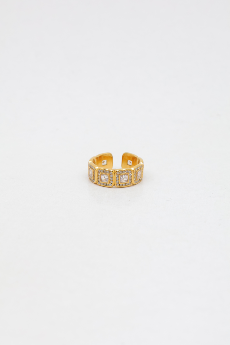 Stainless steel ring 2