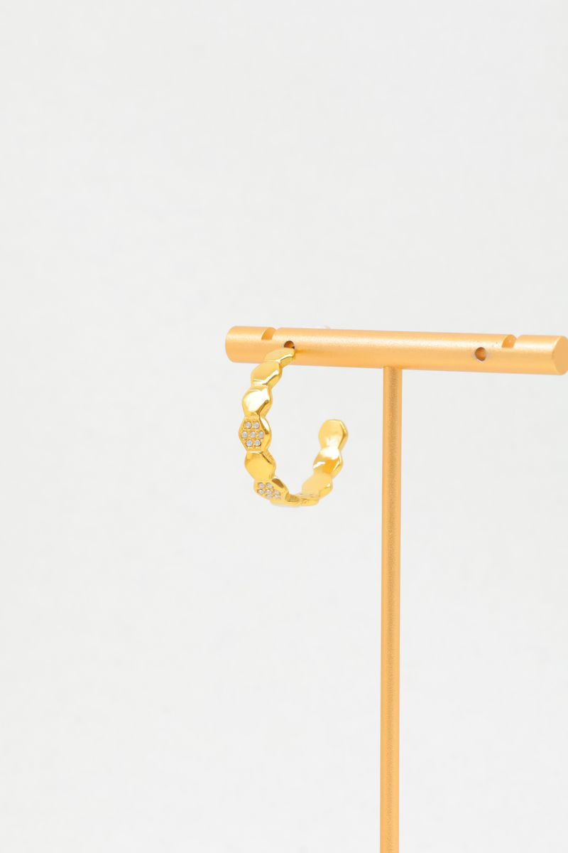 Stainless steel earrings