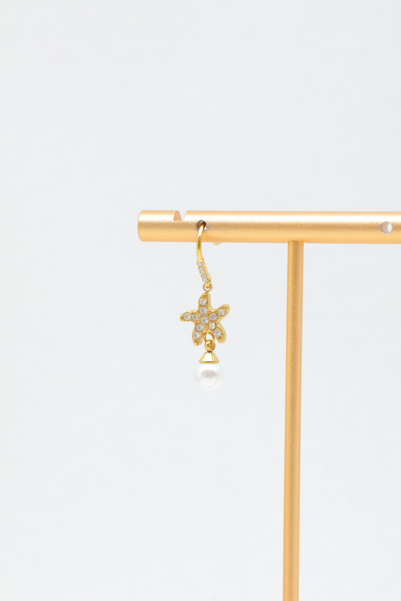 Stainless steel earrings