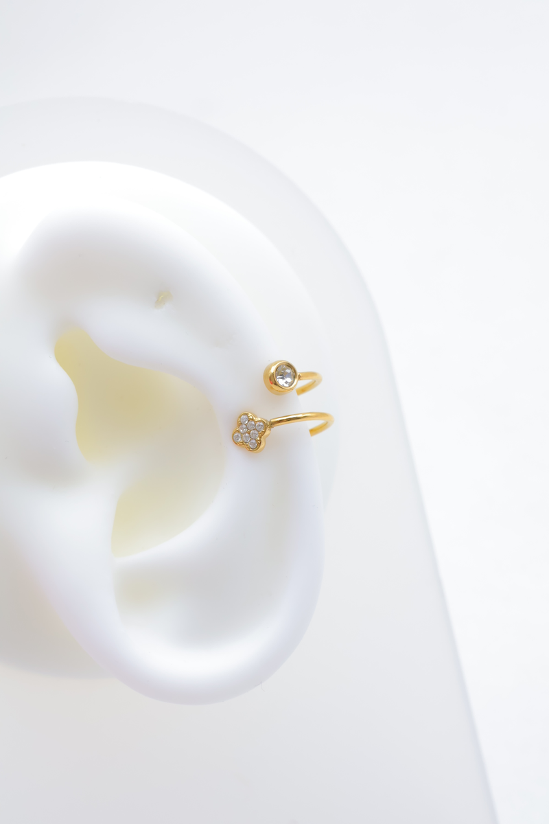Stainless steel earrings