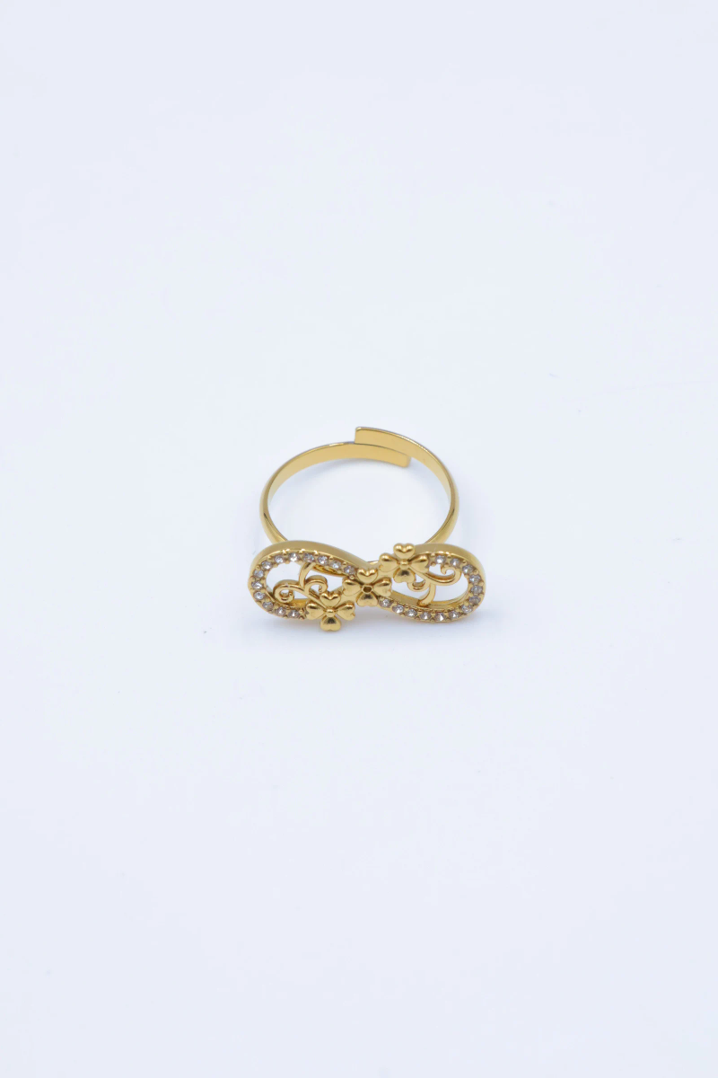 Adjustable stainless steel ring 2