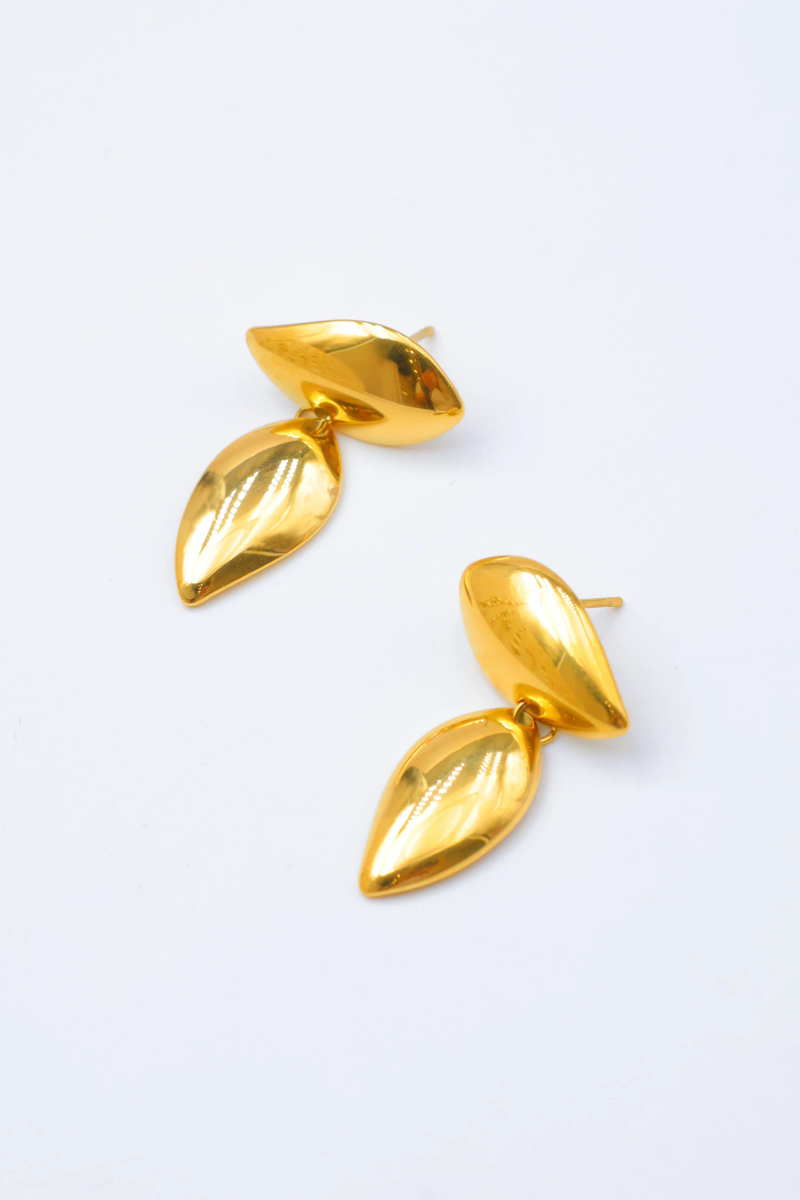 Stainless steel earrings 2