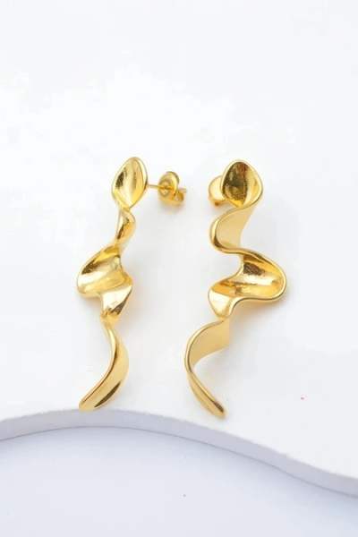 Stainless steel earrings 2