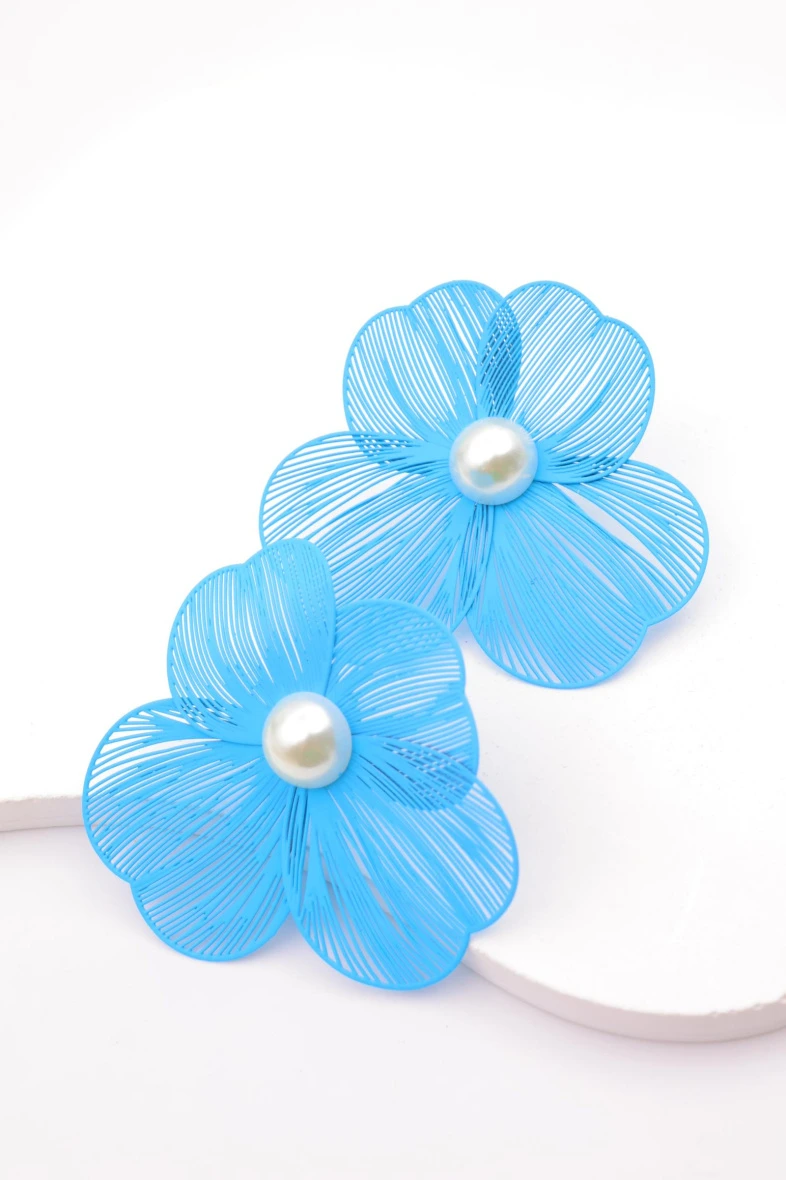 Stainless steel earrings 2