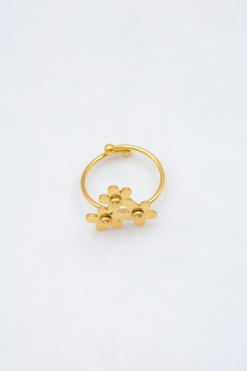 Adjustable stainless steel ring 4