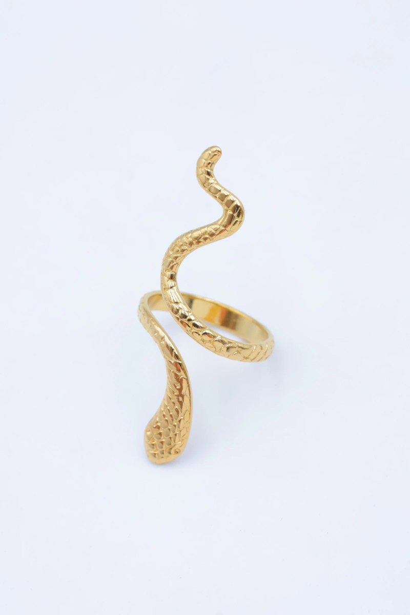 Adjustable stainless steel ring 4
