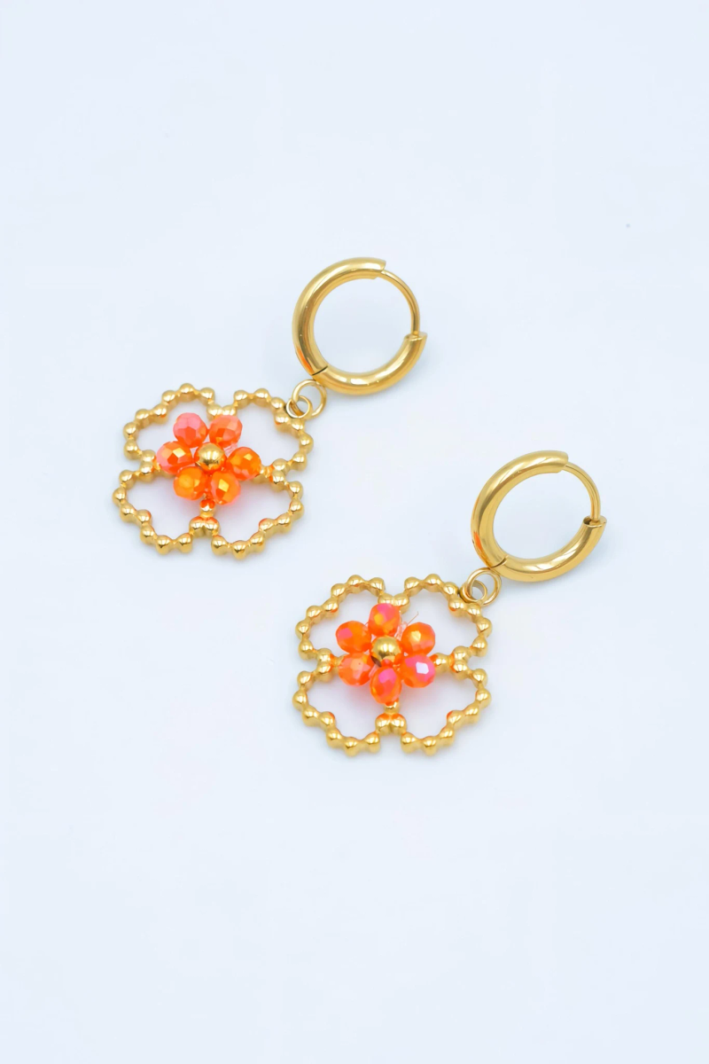 Stainless steel earrings 2