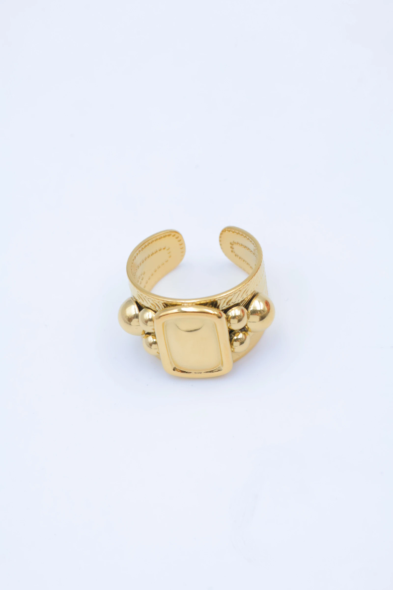 Adjustable stainless steel ring 2