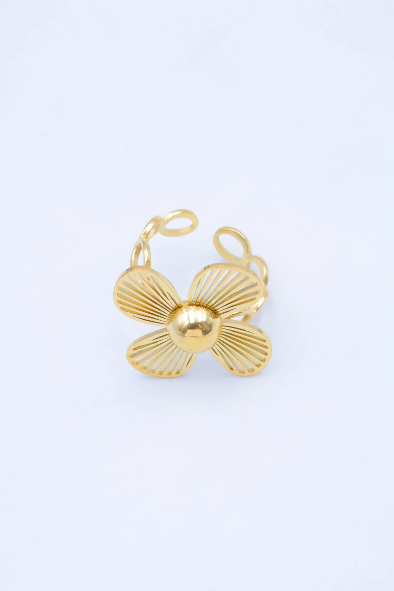 Adjustable stainless steel ring 2