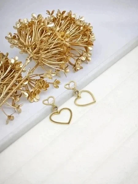 Stainless steel earrings 4