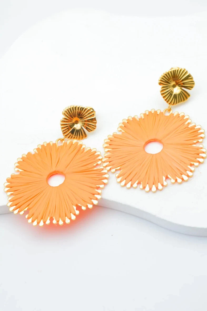 Boucles d'oreilles en acier inoxydable 2