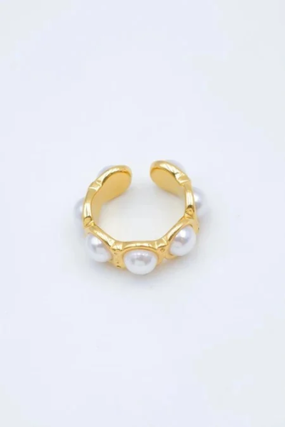 Adjustable stainless steel ring 2