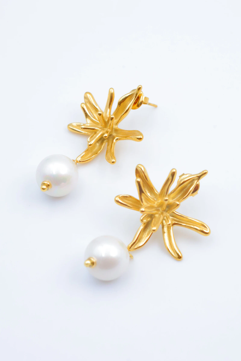 Stainless steel earrings 2