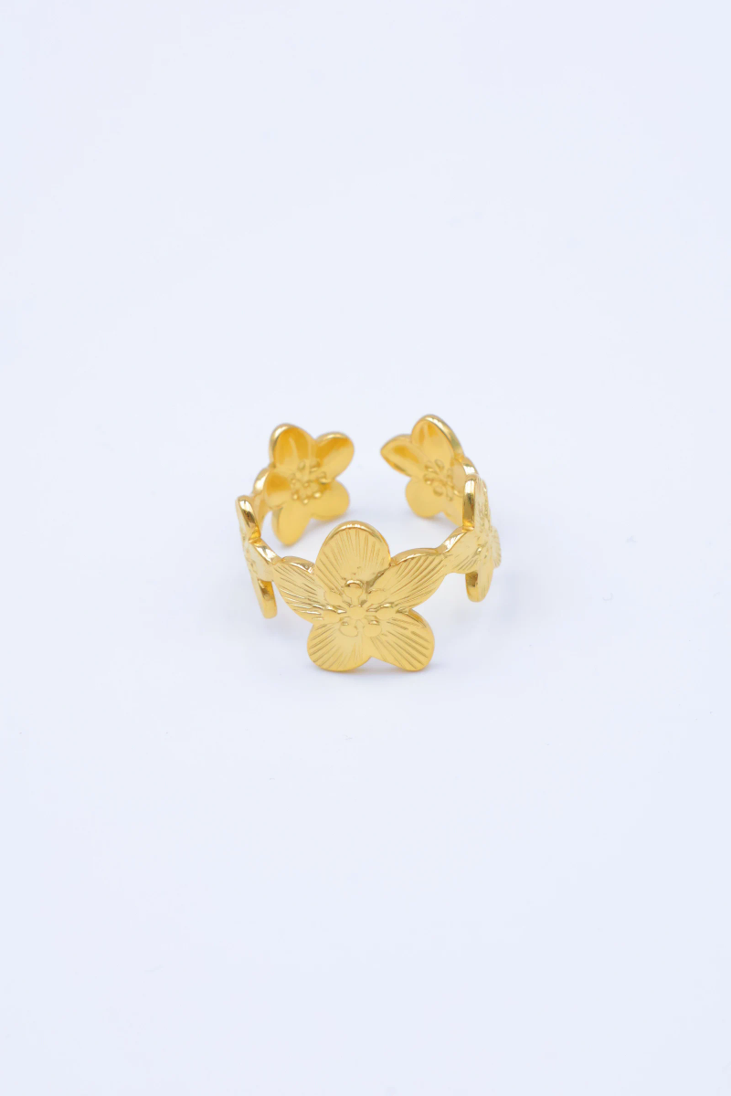 Adjustable stainless steel ring 2