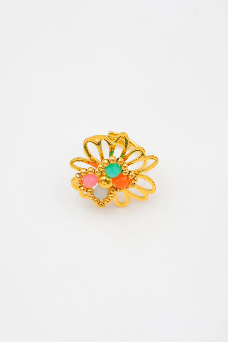 Adjustable stainless steel ring — Multicolor