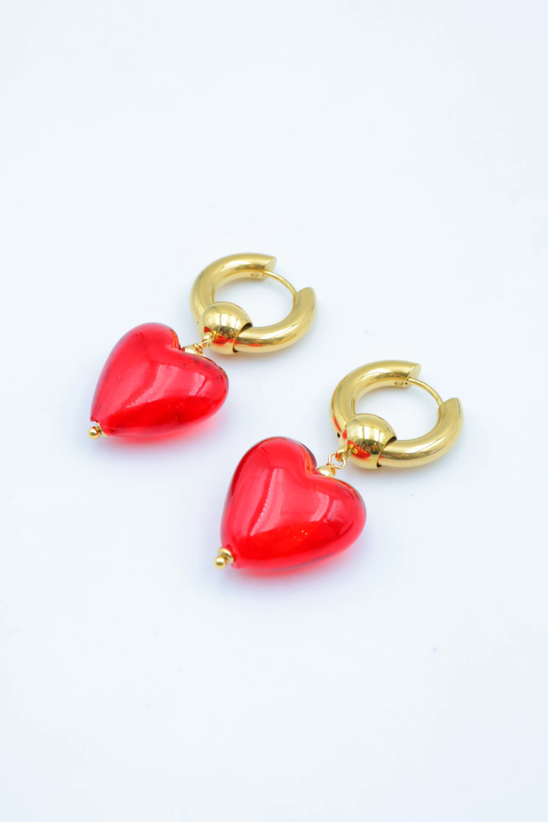 Stainless steel earrings 2